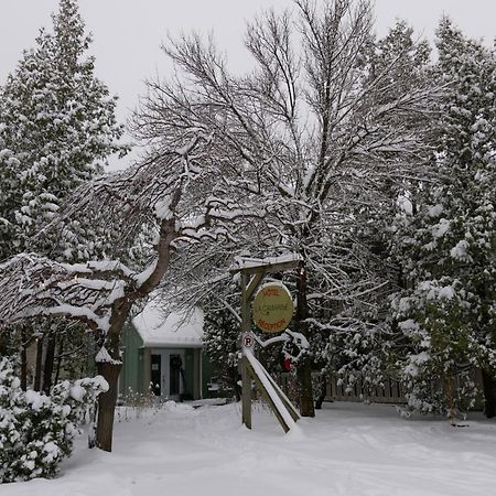 Auberge La Camarine بيوبره المظهر الخارجي الصورة